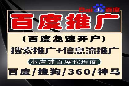 百度SEM推广案例：揭秘行业领军企业的成功之路